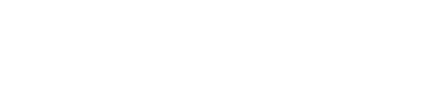Leasio – Leasing und Fuhrpark